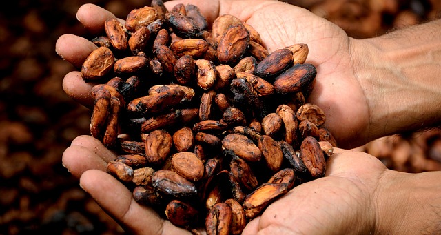Importacion de cacao. que necesito para poder importar cacao